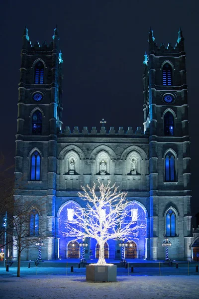 Illuminated Tree Place Armes Front Notre Dame Cathedral Winter Time — Stock Photo, Image