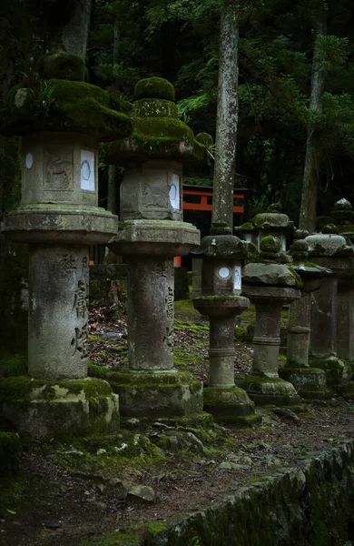 Híres Lámpás Sorakozik Fel Kasuga Taisha Főúton Egy Vallási Templom — Stock Fotó