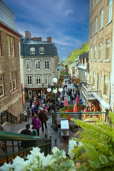 Quebec Canada 2019 Rušná Turistická Ulice Okrese Champlain Starém Quebecu — Stock fotografie