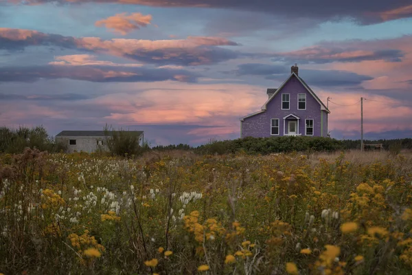 夕日の時間帯に花でいっぱいの黄色のフィールドに美しい紫色の家 — ストック写真