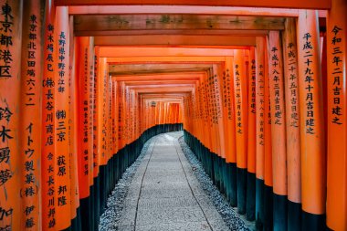 Fushimi Inari-taisha Cennete Kapısı, Kyoto, Japonya
