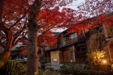 Gion, bölge gezginlerin ve ziyaretçilerin ihtiyaçlarını karşılamak için kuruldu. Sonunda Japonya 'nın en seçkin ve tanınmış geyşa bölgelerinden biri haline geldi.