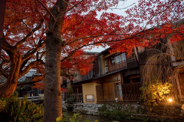 Gion, bölge gezginlerin ve ziyaretçilerin ihtiyaçlarını karşılamak için kuruldu. Sonunda Japonya 'nın en seçkin ve tanınmış geyşa bölgelerinden biri haline geldi.