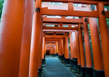 Fushimi Inari-taisha Gate(Fushimiinari-taisha) to heaven, Kyoto, Japan 
