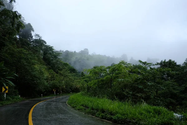 雾路在森林 美丽的自然小道 图片投入五谷 — 图库照片