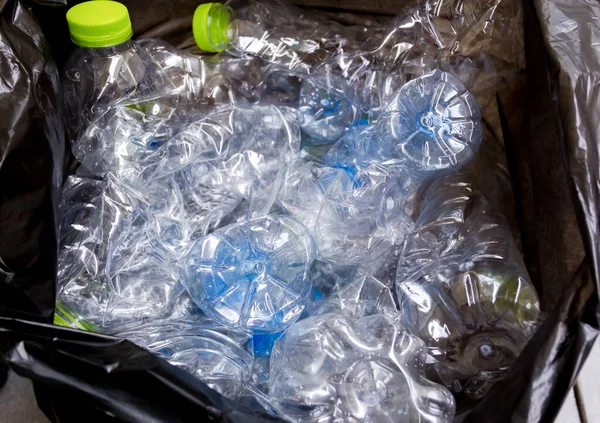 Siyah çöp torbalarındaki plastik şişeler geri dönüşüm için alınmayı bekliyor..