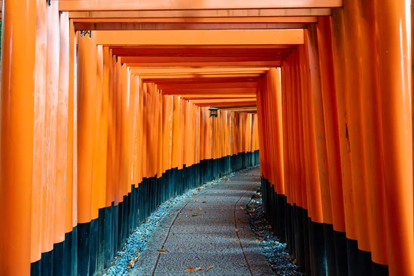 Fushimi Inari Taisha Gate Fushimiinari Taisha Heaven Kyoto Japan Japanese — Stock Photo, Image