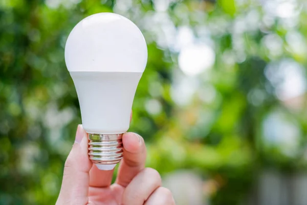 Economia Energia Led Bulb Eco Com Meio Ambiente Imagem De Stock