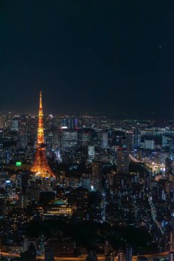  Tokyo şehir parkındaki turistik yerler, Asya iş konsepti imajı, Japonya 'daki panoramik modern şehir manzarası. 