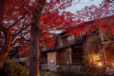Gion, bölge gezginlerin ve ziyaretçilerin ihtiyaçlarını karşılamak için kuruldu. Sonunda Japonya 'nın en seçkin ve tanınmış geyşa bölgelerinden biri haline geldi.