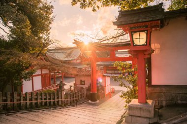 Fushimi Inari Taisha 'nın (Fushimi Inari Tapınağı) en güzel bakış açısı Japonya' nın Kyoto kentinde popüler bir turizm merkezidir..
