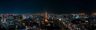 Tokyo şehir parkında panoramik, turistik eğlence, Asya iş konsepti imajı, Japonya 'da panoramik modern şehir manzarası.    