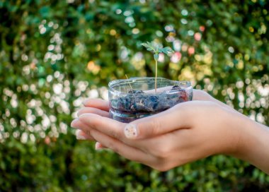 Bitki saksıları için geri dönüştürülmüş plastik şişeler.