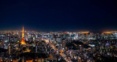 Tokyo şehir parkında panoramik, turistik eğlence, Asya iş konsepti imajı, Japonya 'da panoramik modern şehir manzarası.   