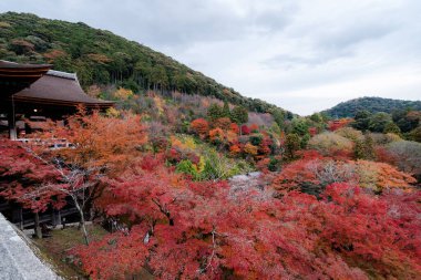 Kiyomizu-dera 'nın en güzel bakış açısı Japonya' nın Kyoto kentinde popüler bir turizm merkezidir..