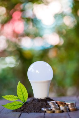 LED BULB ECO ile enerji tasarrufu Çevreyle, çevreyi korurken para tasarrufu 