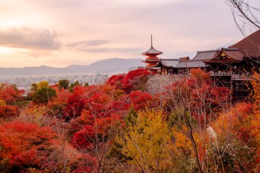 Kiyomizu-dera 'nın en güzel bakış açısı Japonya' nın Kyoto kentinde popüler bir turizm merkezidir..