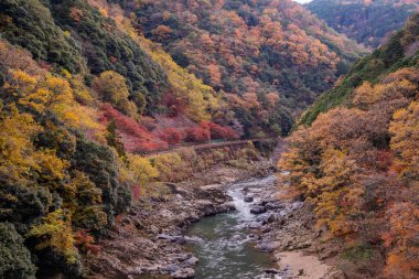 Arashiyama, Japonya 'nın Kyoto eyaletinde yer alan bir şehirdir. Ayrıca Oei Nehri 'nin karşısındaki dağdan da bahseder ve bu dağ ilçeye bir zemin oluşturur. Arashiyama, ulusal olarak belirlenmiş bir tarihi mekan ve Manzaralı Güzellik Yeridir..