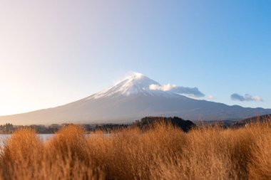 Fuji Dağı, Japonya 'nın ikonik sembolü, sonbahar yaprakları mevsiminde, olağanüstü bir güzellik dönemi..