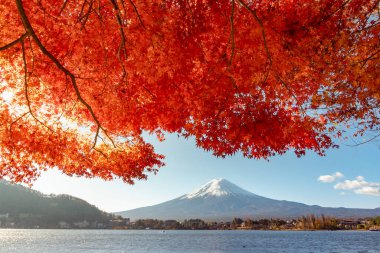 Fuji Dağı, Japonya 'nın ikonik sembolü, sonbahar yaprakları mevsiminde, olağanüstü bir güzellik dönemi..