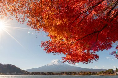 Fuji Dağı, Japonya 'nın ikonik sembolü, sonbahar yaprakları mevsiminde, olağanüstü bir güzellik dönemi..