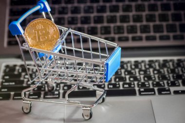 Bitcoin para madenciliğinin kapatılması İnternet Ağına bağlanıyor 