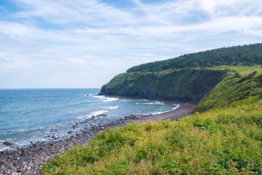 Hallasan Milli Parkı Jeju Adası Güney Kore