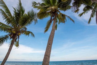 Güzel doğa deniz yaz arkaplanı, kumsal.