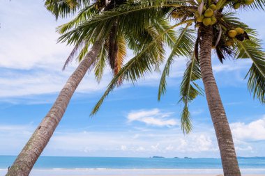 Güzel doğa deniz yaz arkaplanı, kumsal.