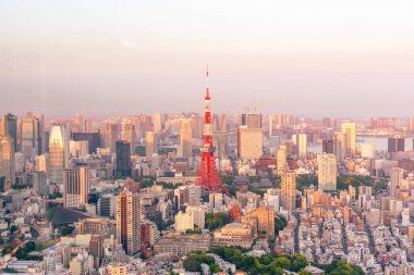 Tokyo 'nun en güzel manzaralı kulesi, Japonya..