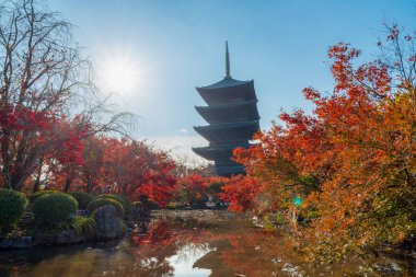 Toji 'nin (To-ji) en güzel bakış açısı Japonya' nın Kyoto kentinde popüler bir turizm merkezidir..