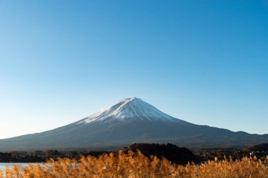Fuji Dağı, Japonya 'nın ikonik sembolü, sonbahar yaprakları mevsiminde, olağanüstü bir güzellik dönemi..