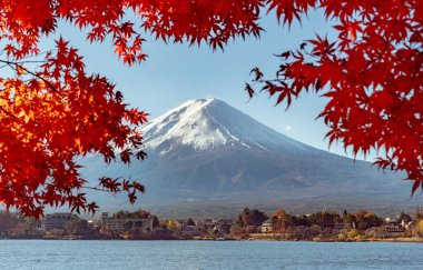 Fuji Dağı, Japonya 'nın ikonik sembolü, sonbahar yaprakları mevsiminde, olağanüstü bir güzellik dönemi..