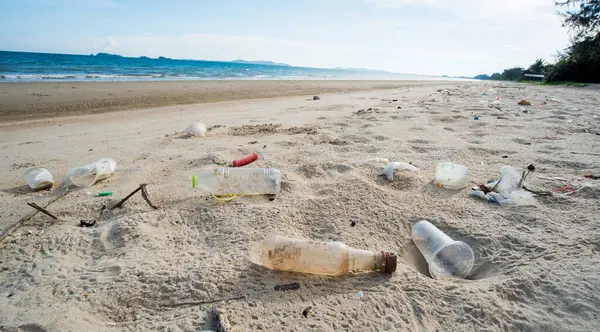 Kirli deniz kumlu kıyı, çevresel kirlilik, okyanustaki plastik su şişeleri kirliliği 