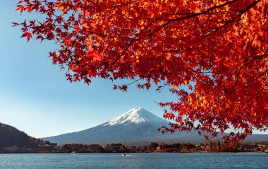 Fuji Dağı, Japonya 'nın ikonik sembolü, sonbahar yaprakları mevsiminde, olağanüstü bir güzellik dönemi..