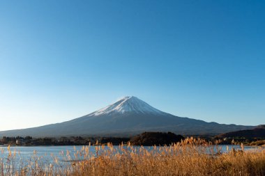 Fuji Dağı, Japonya 'nın ikonik sembolü, sonbahar yaprakları mevsiminde, fevkalade güzel bir dönem. kawaguchiko, japan.