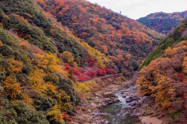 Arashiyama, Japonya 'nın Kyoto eyaletinde yer alan bir şehirdir. Ayrıca Oei Nehri 'nin karşısındaki dağdan da bahseder ve bu dağ ilçeye bir zemin oluşturur. Arashiyama, ulusal olarak belirlenmiş bir tarihi mekan ve Manzaralı Güzellik Yeridir..