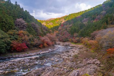 Arashiyama, Japonya 'nın Kyoto eyaletinde yer alan bir şehirdir. Ayrıca Oei Nehri 'nin karşısındaki dağdan da bahseder ve bu dağ ilçeye bir zemin oluşturur. Arashiyama, ulusal olarak belirlenmiş bir tarihi mekan ve Manzaralı Güzellik Yeridir..