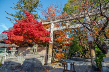 Gion, bölge gezginlerin ve ziyaretçilerin ihtiyaçlarını karşılamak için kuruldu. Sonunda Japonya 'nın en seçkin ve tanınmış geyşa bölgelerinden biri haline geldi.