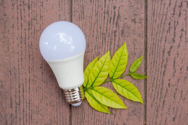 LED BULB ECO ile enerji tasarrufu Çevreyle, çevreyi korurken para tasarrufu 