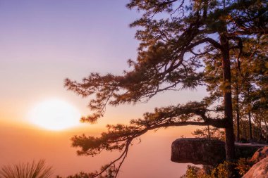 En güzel bakış açısı Phu Kradueng Ulusal Parkı, Tayland.