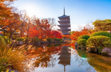 Toji 'nin (To-ji) en güzel bakış açısı Japonya' nın Kyoto kentinde popüler bir turizm merkezidir..
