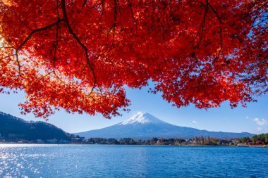 Fuji Dağı, Japonya 'nın ikonik sembolü, sonbahar yaprakları mevsiminde, fevkalade güzel bir dönem. kawaguchiko, japan.