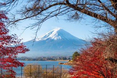 Fuji Dağı, Japonya 'nın ikonik sembolü, sonbahar yaprakları mevsiminde, fevkalade güzel bir dönem. kawaguchiko, japan.