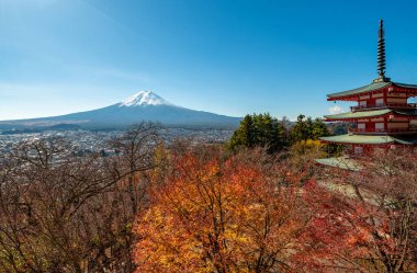 Fuji Dağı, Japonya 'nın ikonik sembolü, sonbahar yaprakları mevsiminde, fevkalade güzel bir dönem. kawaguchiko, japan.
