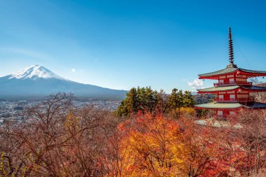 Fuji Dağı, Japonya 'nın ikonik sembolü, sonbahar yaprakları mevsiminde, fevkalade güzel bir dönem. kawaguchiko, japan.
