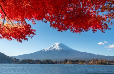 Fuji Dağı, Japonya 'nın ikonik sembolü, sonbahar yaprakları mevsiminde, fevkalade güzel bir dönem. kawaguchiko, japan.