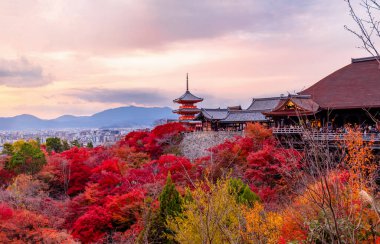 Kiyomizu-dera 'nın en güzel bakış açısı Japonya' nın Kyoto kentinde popüler bir turizm merkezidir..