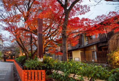 Gion, bölge gezginlerin ve ziyaretçilerin ihtiyaçlarını karşılamak için kuruldu. Sonunda Japonya 'nın en seçkin ve tanınmış geyşa bölgelerinden biri haline geldi.