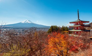 Fuji Dağı, Japonya 'nın ikonik sembolü, sonbahar yaprakları mevsiminde, fevkalade güzel bir dönem. kawaguchiko, japan.